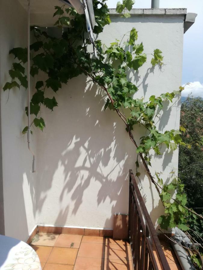 Guest House Vila Bak Budva Ngoại thất bức ảnh